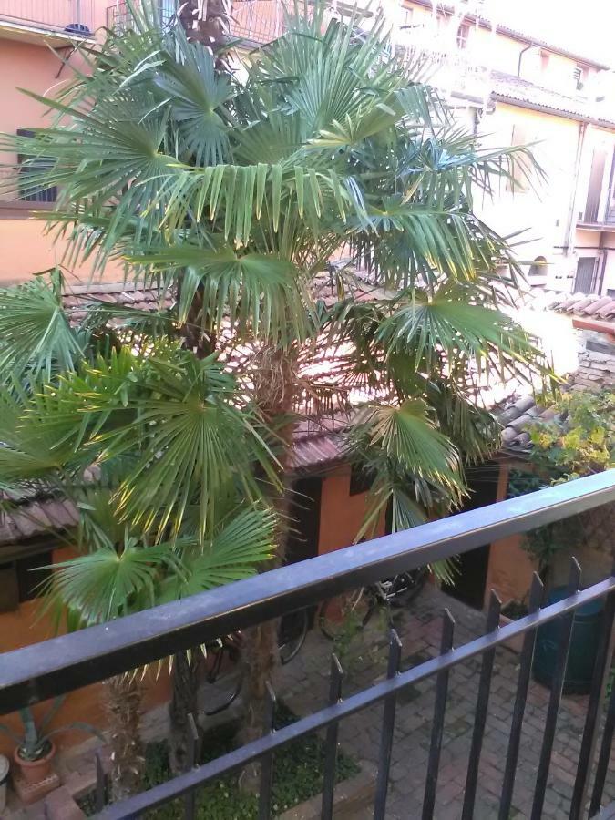 La Culla Apartment Имола Екстериор снимка